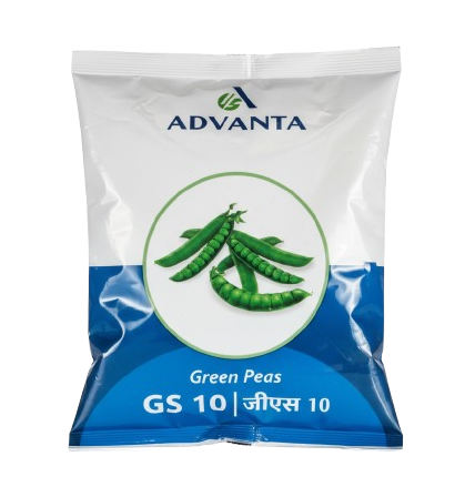 GS 10 Green Peas (Matar) Seeds by Advanta Golden Seeds