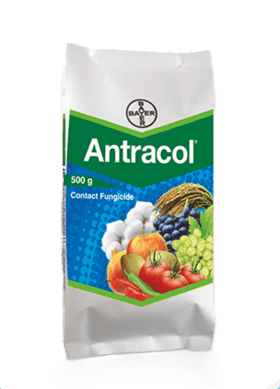 Antracol by Bayer crop science