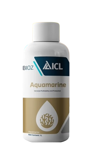 AQUAMARINE by ICL