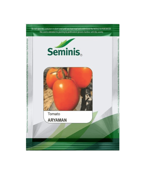 Seminis Tomato Hybrid Aryaman  3500Seed