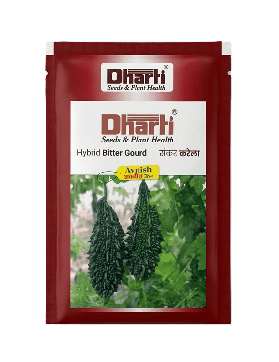 AVNISH XTRA HYBRID BITTER GOURD by Dharti Seeds
