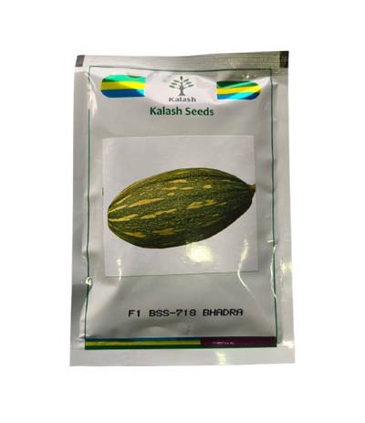 Hybrid Pumpkin BSS-718 Bhadra by Kalash Seeds