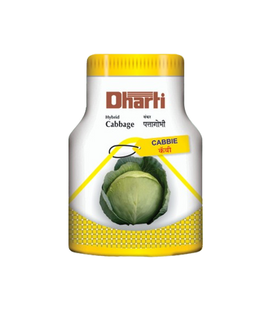 Hybrid Cabbage Cabbie by Dharti Seeds