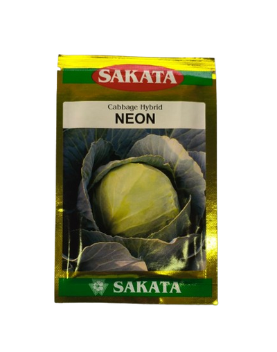 Hybrid Cabbage Neon by Sakata Seeds