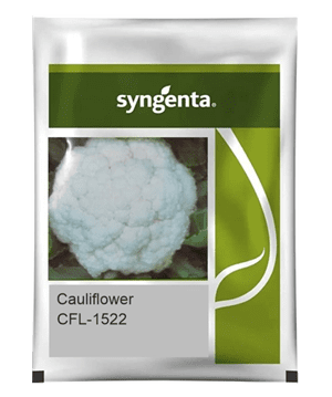 CFL 1522 CAULIFLOWER