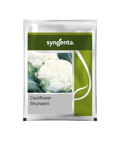 Syngenta Califlower Suhasini 2000 nos
