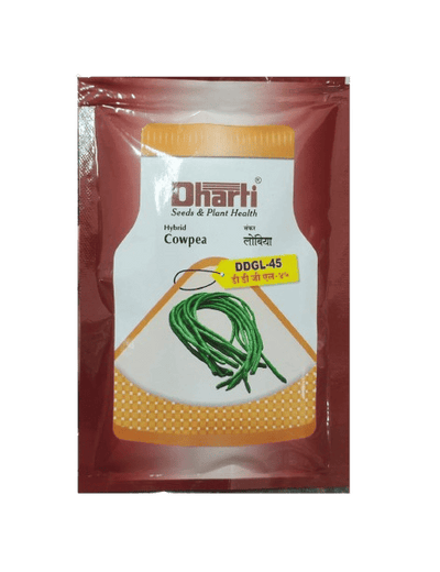 Cowpea DDGL 45 by Dharti Seeds
