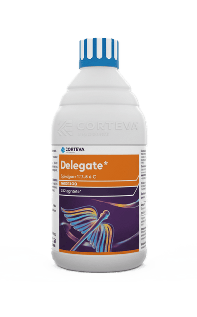 Delegate