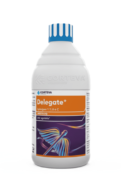 Delegate