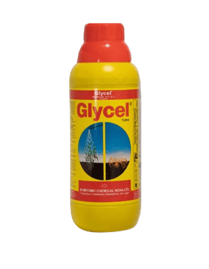 Glycel