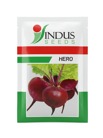 Indus Seeds HERO F1 Hybrid Beetroot