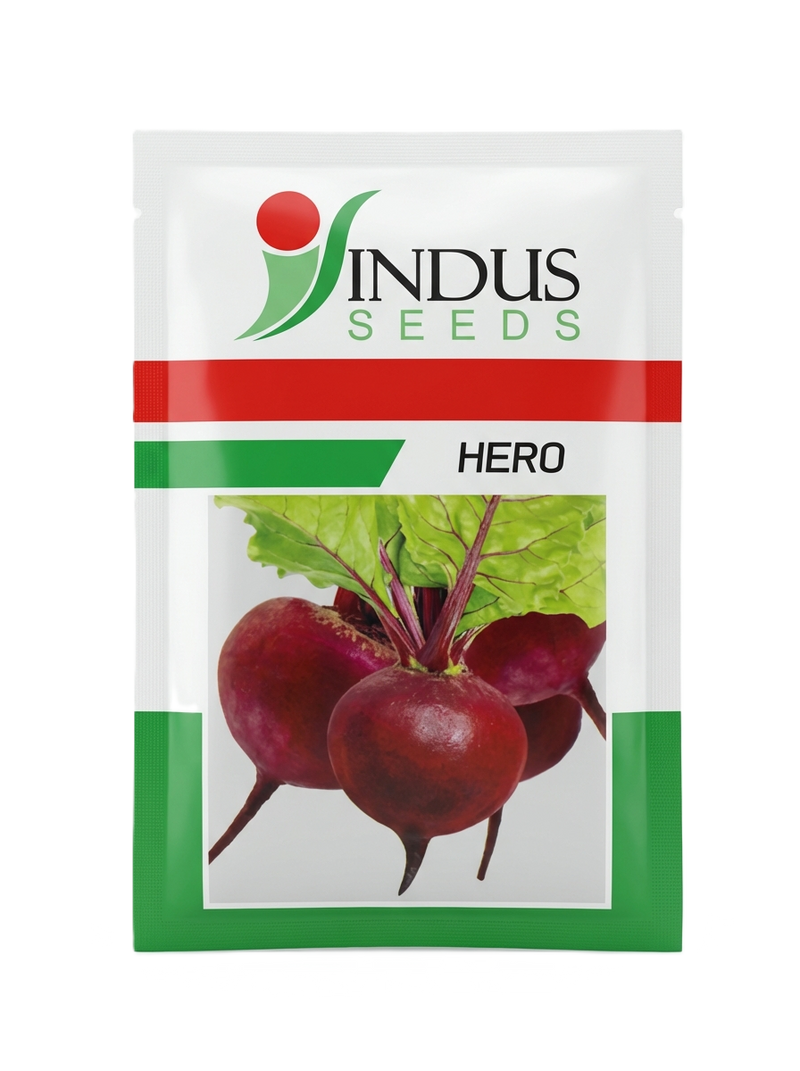 Indus Seeds HERO F1 Hybrid Beetroot