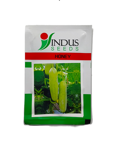 HONEY (HYBRID CUCUMBER) by INDUS SEEDS