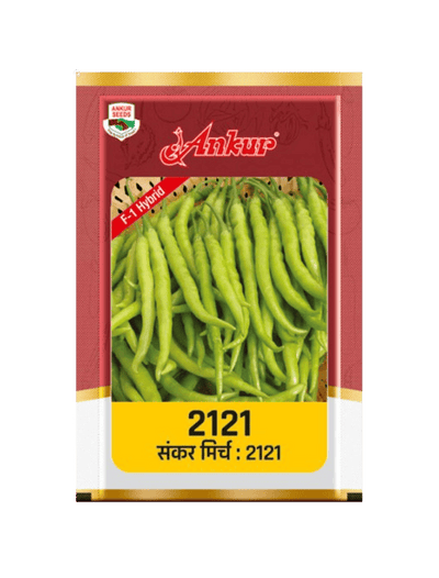 Hybrid Chilli ARCH - 2121 by Ankur Seeds