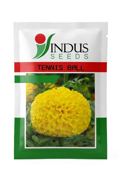 MARIGOLD TENNIS BALL by INDUS SEEDS