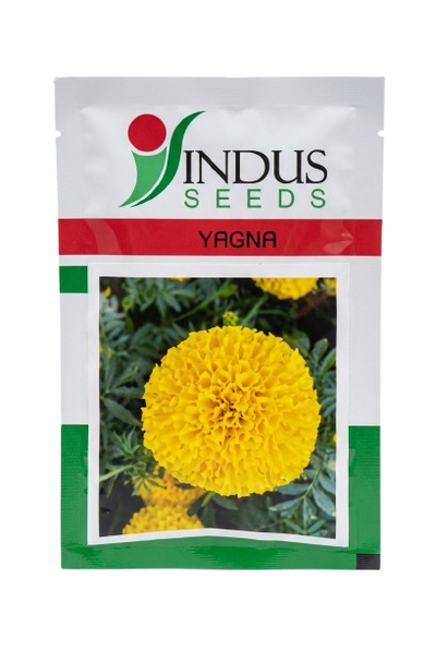 MARIGOLD YAGNA by INDUS SEEDS