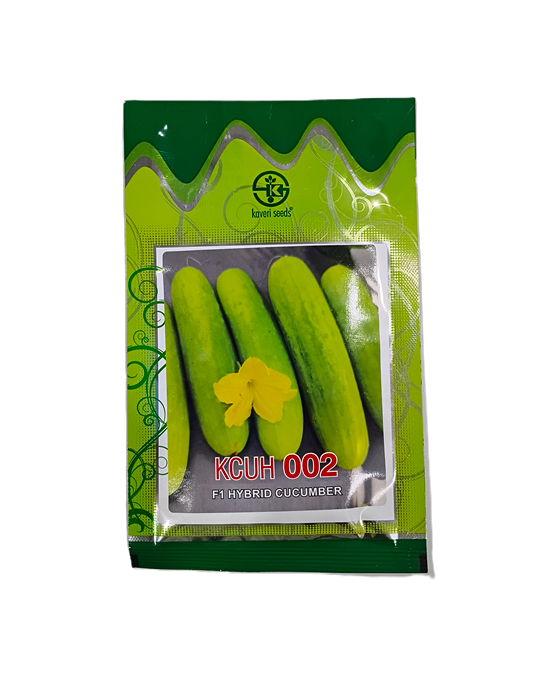 KCUH 002 (F1 HYBRID CUCUMBER) by Kaveri Seed Company Limited