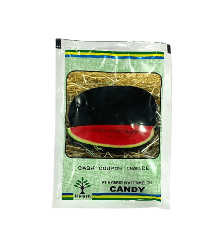 BSS 360 Candy F1 Hybrid Watermelon Seeds by Kalash Seeds