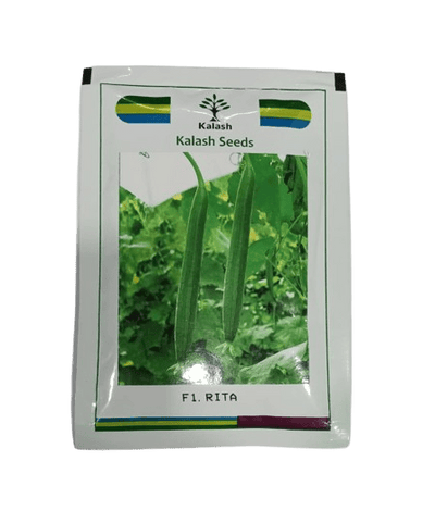 Kalash Seeds Sponge Gourd Rita F1 – 50gm