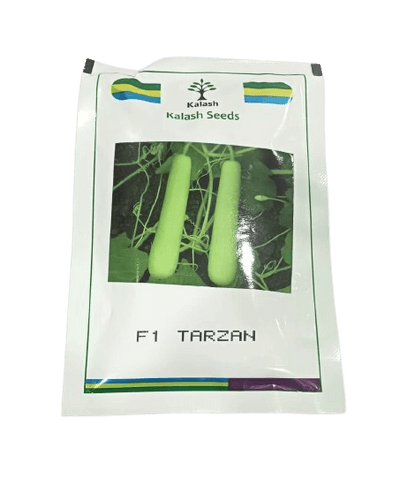 Kalash Bottlegourd Tarzan-50gm