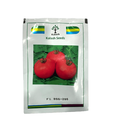 BSS-286 F1 Tomato Hybrid Seeds by Kalash Seeds