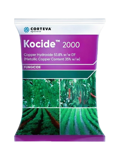 Kocide 2000 by Corteva