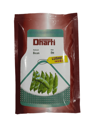 Hybrid Bean LUSHKY by Dharti Seeds
