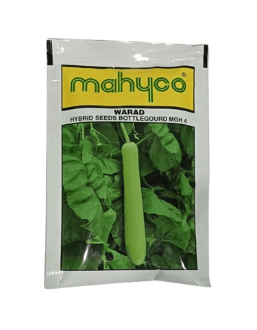 Mahyco Bottlegourd Warad MGH 4 - 50gm