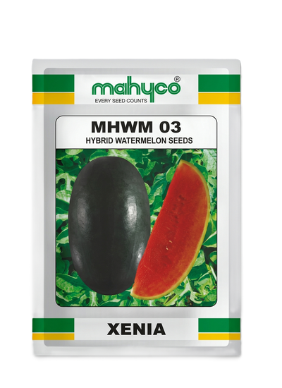 Mahyco Xenia (MHWM-03) Hybrid Watermelon Seeds