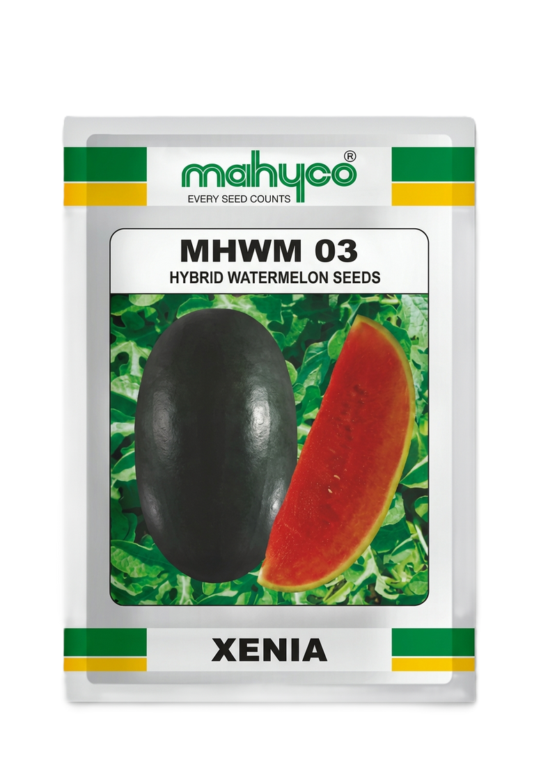 Mahyco Xenia (MHWM-03) Hybrid Watermelon Seeds