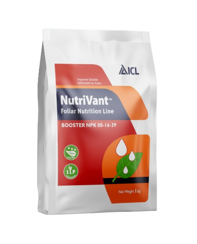 Nutrivant Booster NPK 08-16-39 by ICL