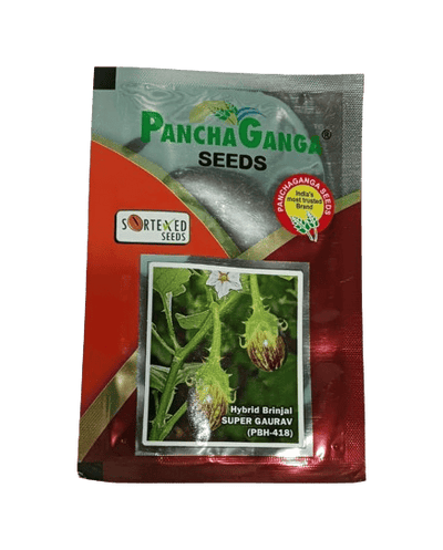 Panchaganga Hybrid Brinjal Super Gaurav F1 - 10GM
