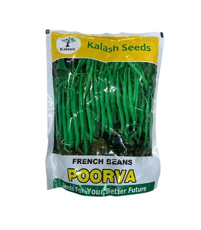 Poorva French Beans by Kalash Seeds
