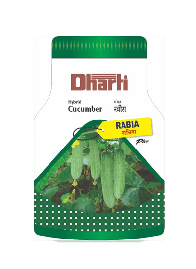 Hybrid Cucumber RABIA Plus by Dharti Seeds