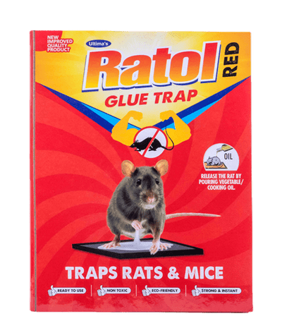 Ratol Glue Trap