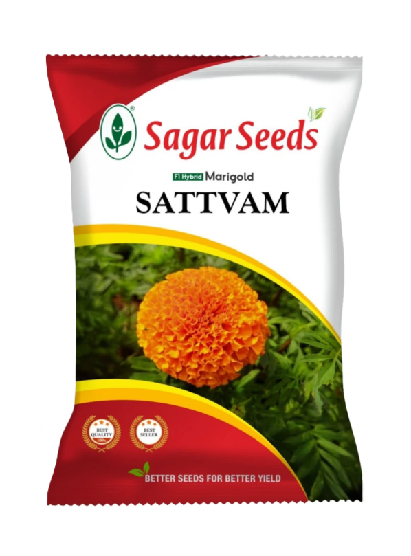 Sagar Marigold Sattvam Flower Seeds - 1000 nos