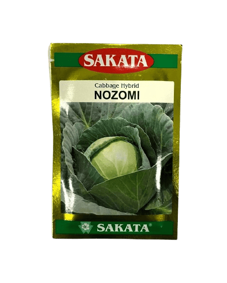 Cabbage Nazomi by Sakata Seeds