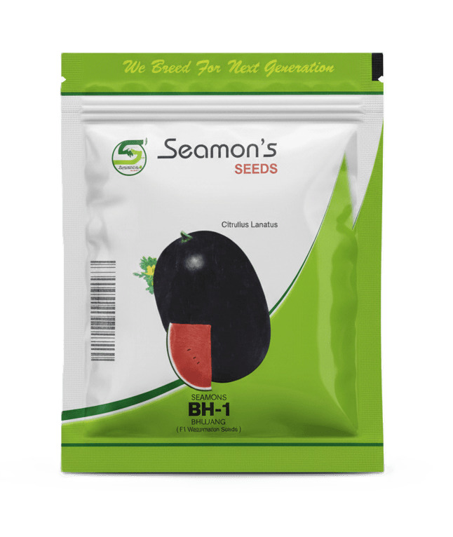Watermelon BH1 Bhujang by Seamon's Seeds