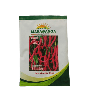 Chilli Sindhu