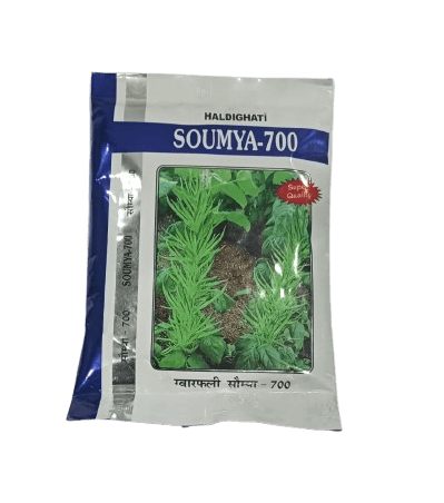 Haldighati Soumya Guar 700 (Cluster Bean) Seeds- 100 gm