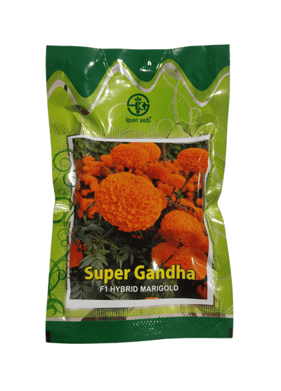 F1 Hybrid Marigold Super Gandha by Kaveri Seeds