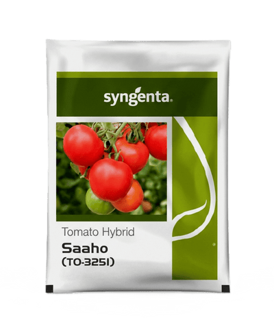 Syngenta Saaho TO 3251 Hybrid Tomato Seeds