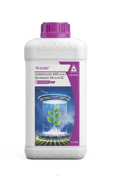 Trassid Insecticide by Adama