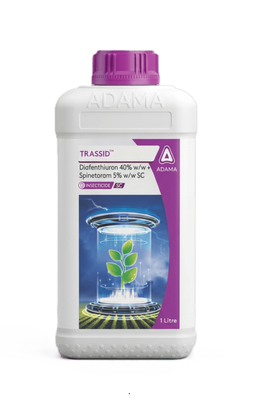 Trassid Insecticide by Adama