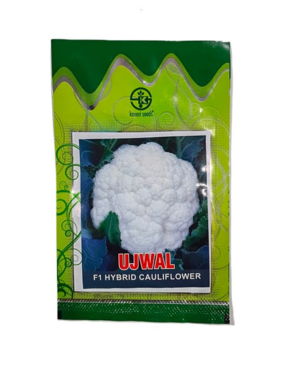 UJWAL (F1 HYBRID CAULIFLOWER) by Kaveri Seed Company Limited