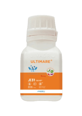 Ultimare by Jivagro