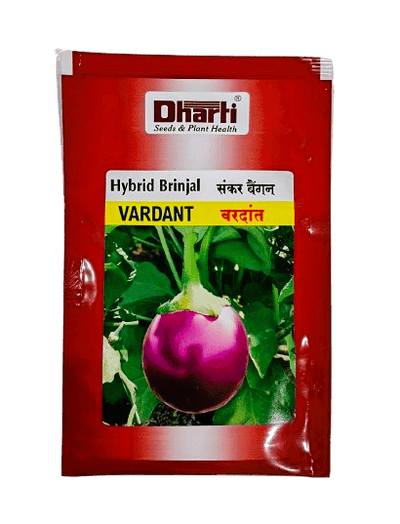 Hybrid Brinjal VARDANT by Dharti Seeds