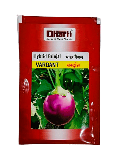 Hybrid Brinjal VARDANT by Dharti Seeds