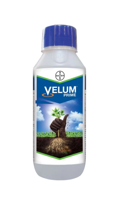 Velume Prime
