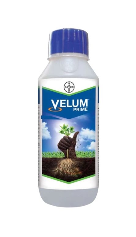 Velume Prime
